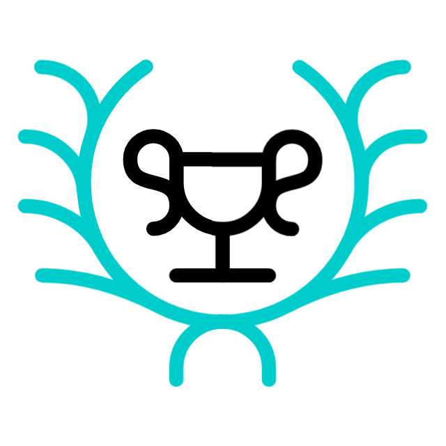 succès animated icon succès animated icon