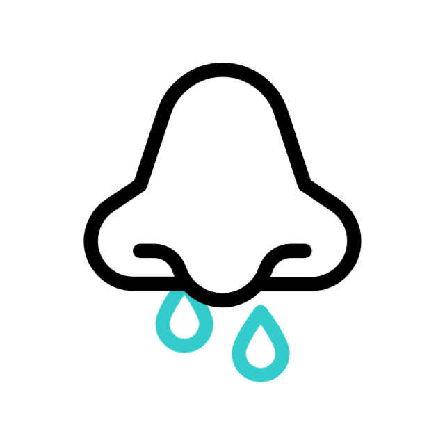 Птица animated icon Птица animated icon
