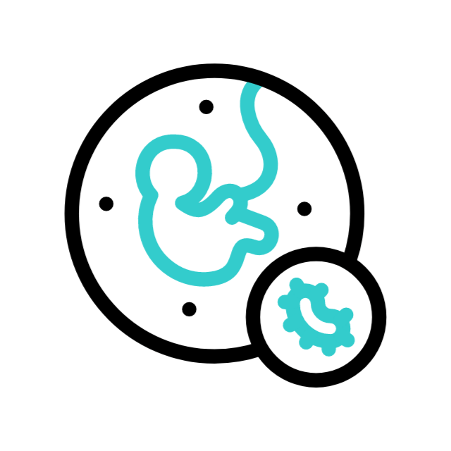 vogel animated icon vogel animated icon