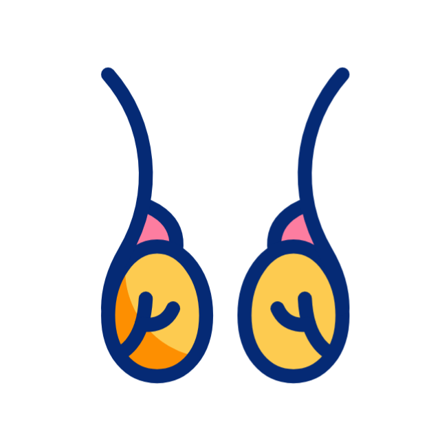 inseminação animated icon inseminação animated icon
