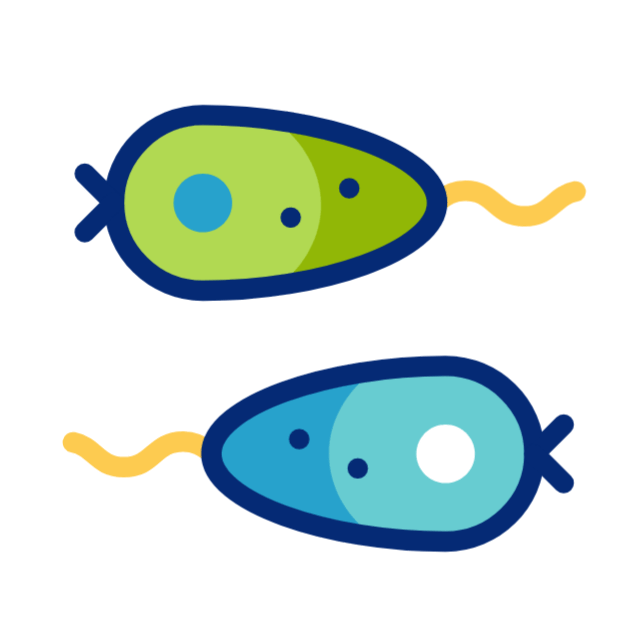 mikroorganismus animated icon mikroorganismus animated icon