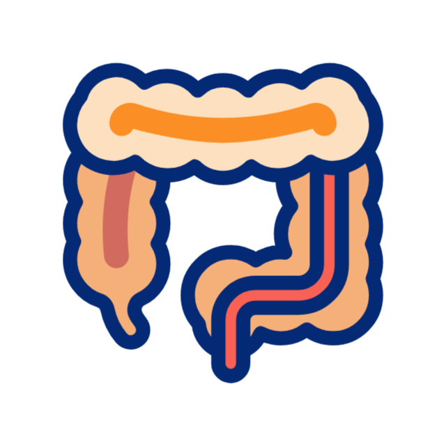 microbiota intestinal animated icon microbiota intestinal animated icon