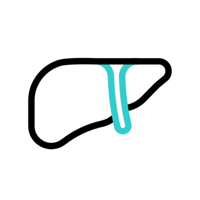 microbiota intestinal animated icon microbiota intestinal animated icon