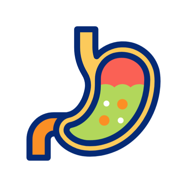 microbiota intestinal animated icon microbiota intestinal animated icon