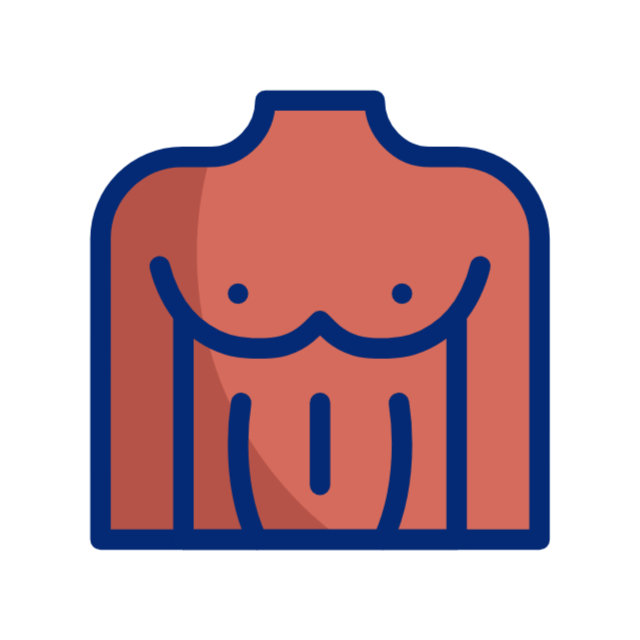 연골 animated icon 연골 animated icon