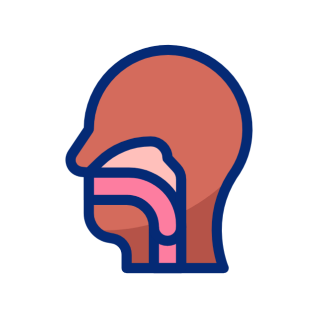 knorpel animated icon knorpel animated icon