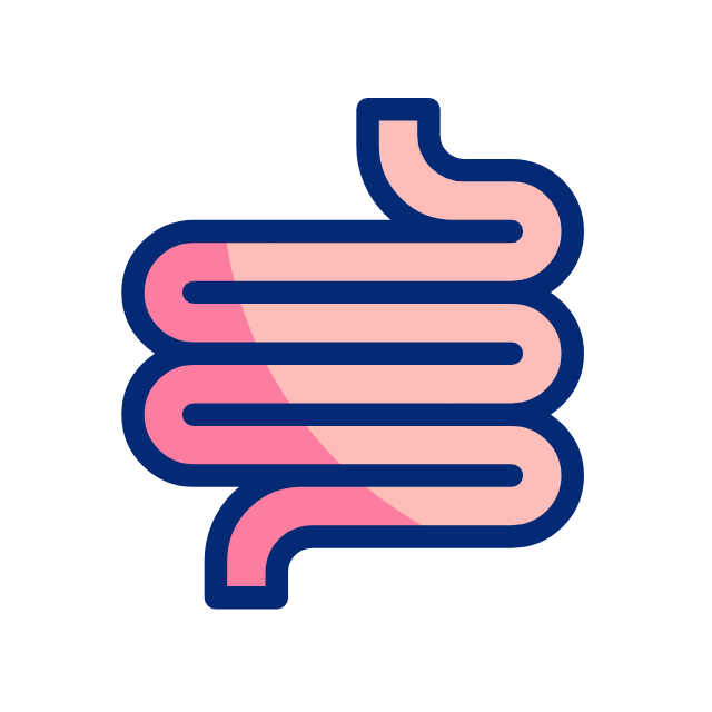 연골 animated icon 연골 animated icon