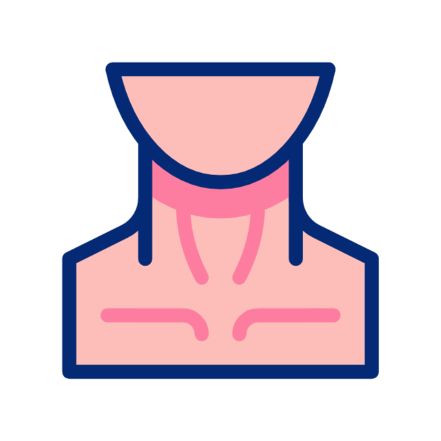연골 animated icon 연골 animated icon