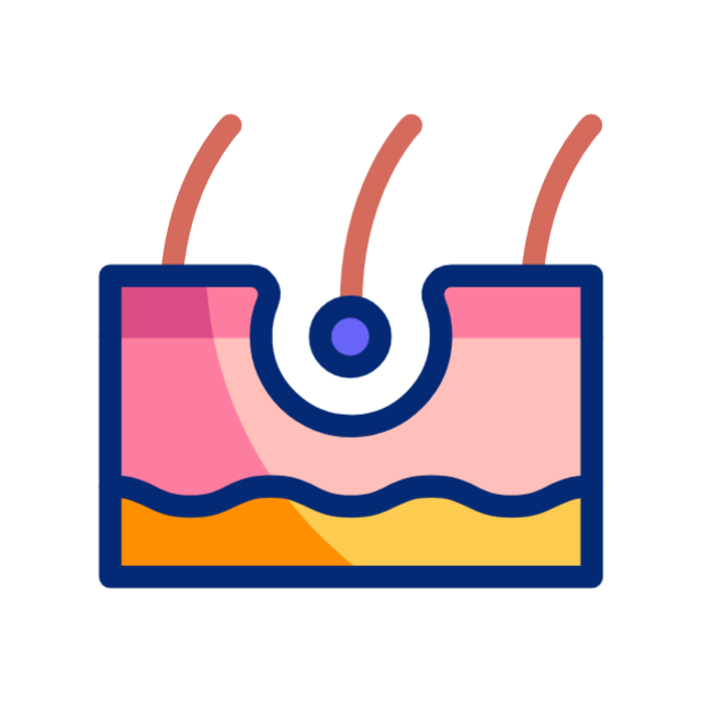 knorpel animated icon knorpel animated icon