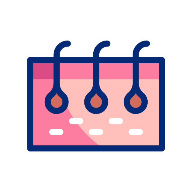 연골 animated icon 연골 animated icon