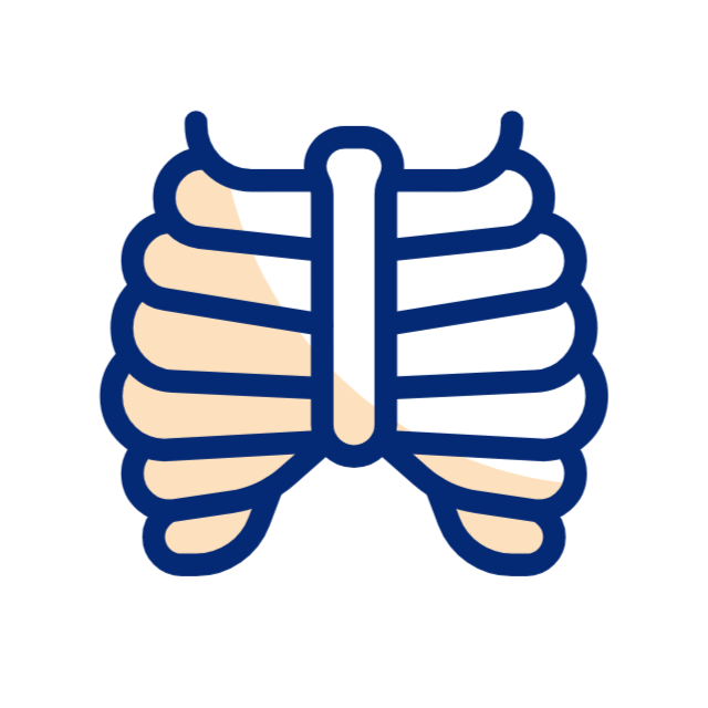knorpel animated icon knorpel animated icon