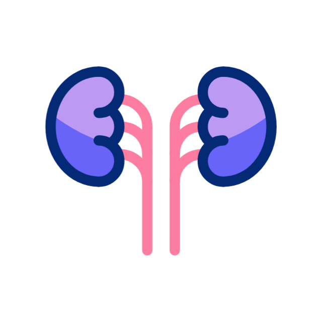 뇌 animated icon 뇌 animated icon