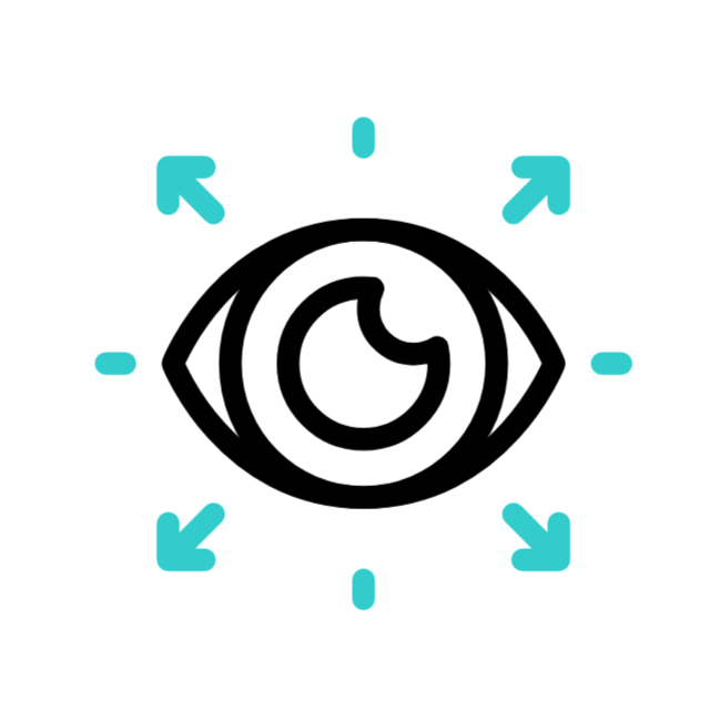 Search animated icon Search animated icon