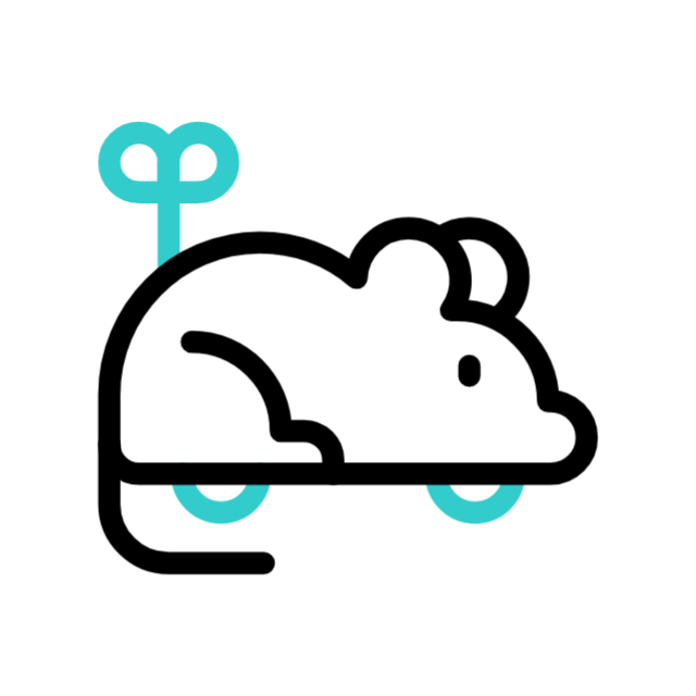 roda animated icon roda animated icon