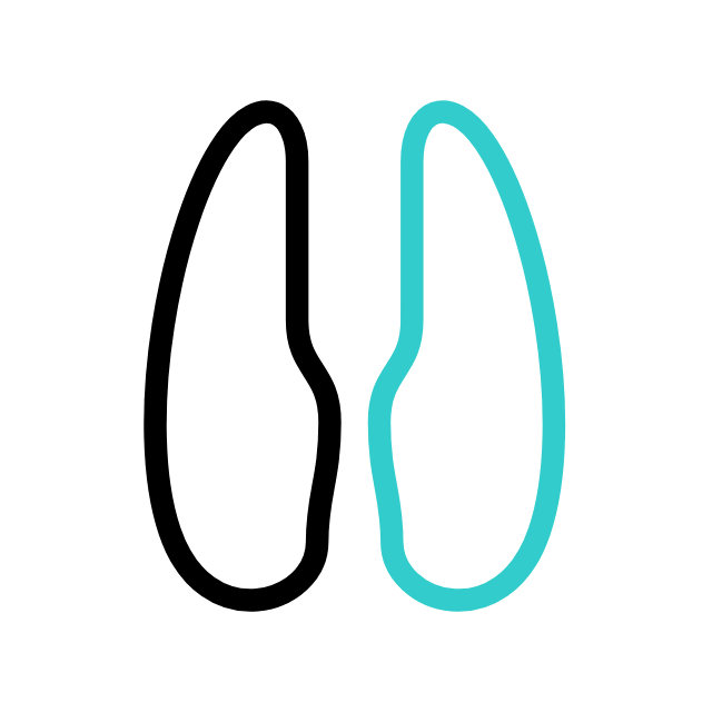 bison animated icon bison animated icon