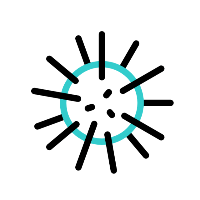 껍데기 animated icon 껍데기 animated icon