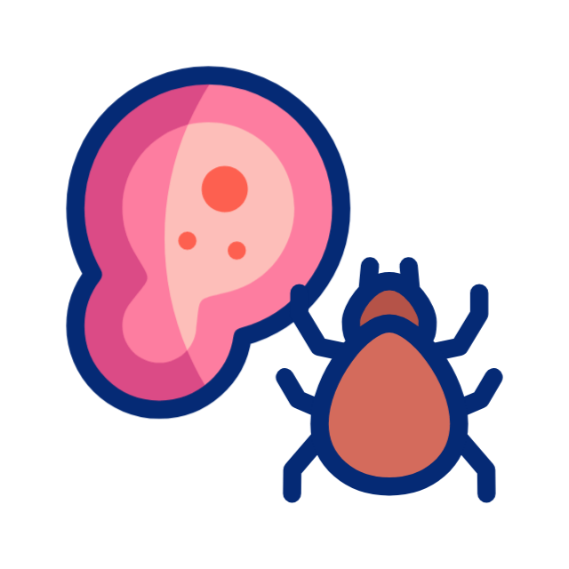 Нос animated icon Нос animated icon