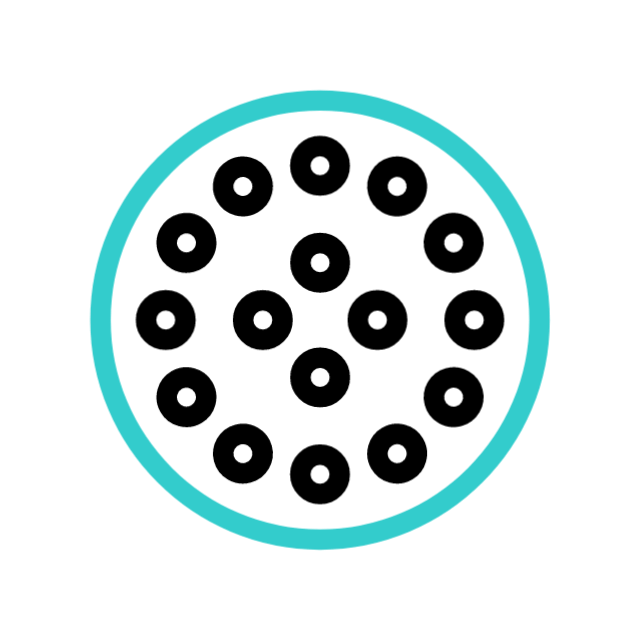 Audiences animated icon Audiences animated icon