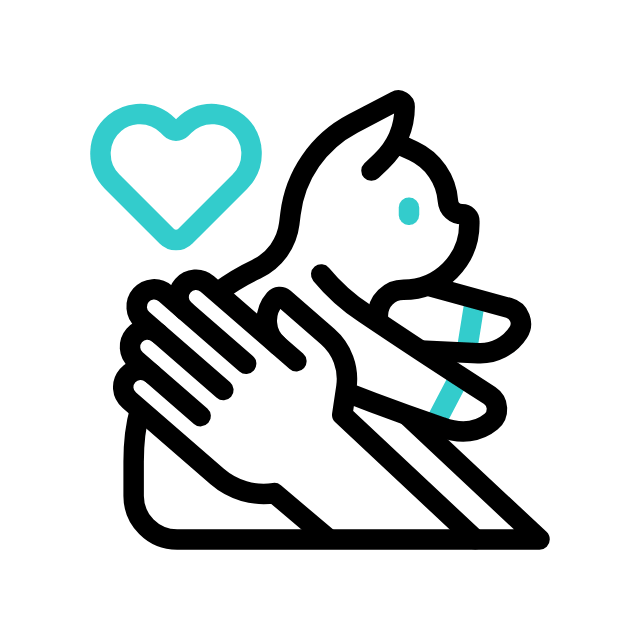 katze animated icon katze animated icon