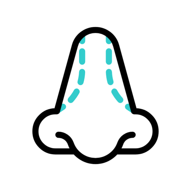 backe animated icon backe animated icon