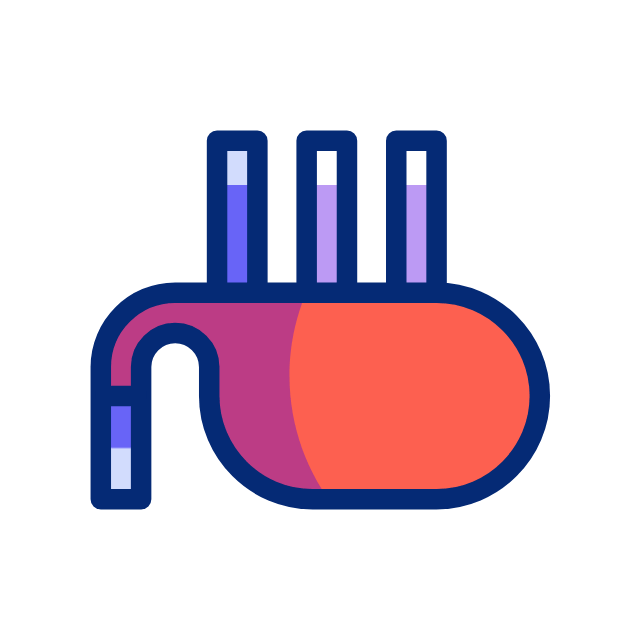 roma animated icon roma animated icon