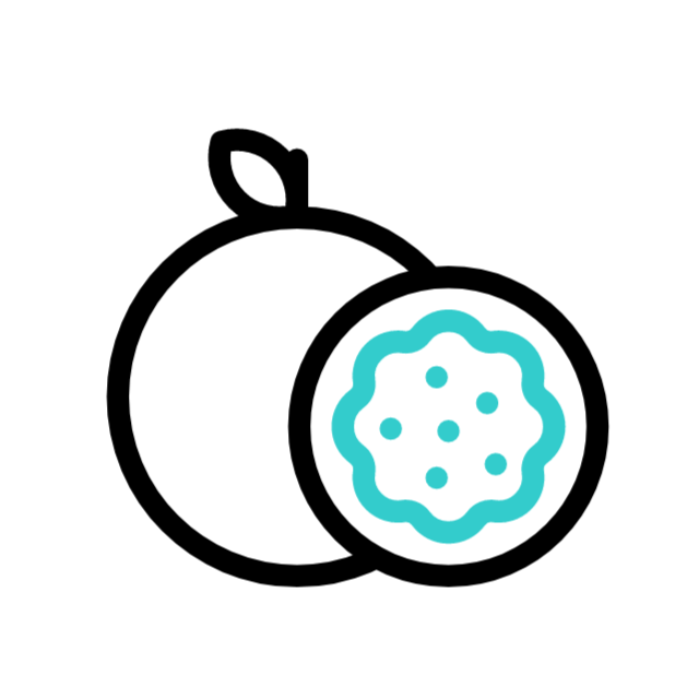 paus animated icon paus animated icon