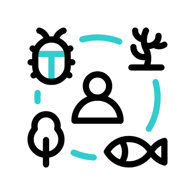 biodiversität animated icon biodiversität animated icon