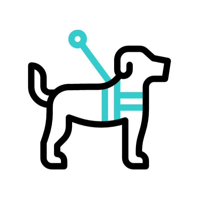 inclusivo animated icon inclusivo animated icon