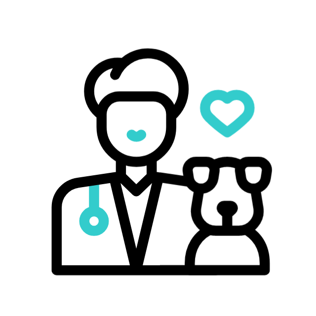 essen animated icon essen animated icon