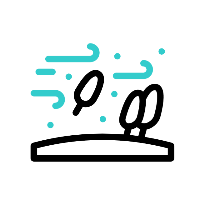 flut animated icon flut animated icon