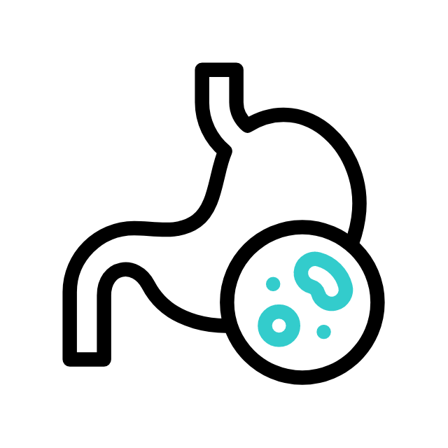 kapsel animated icon kapsel animated icon