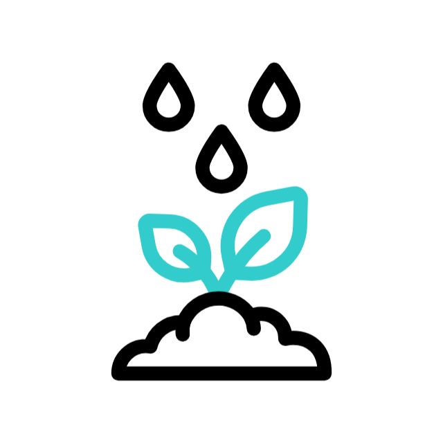 Растущее растение animated icon Растущее растение animated icon