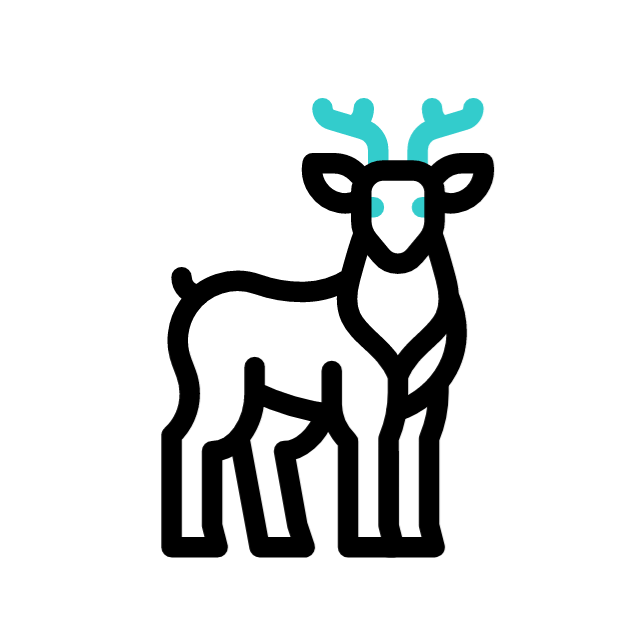 Monkey animated icon Monkey animated icon