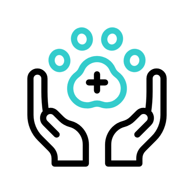 fogo animated icon fogo animated icon