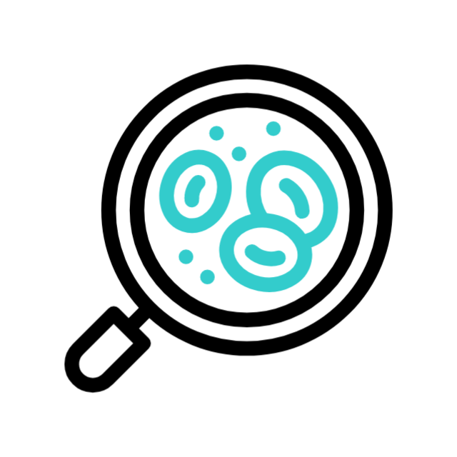 cadeira de rodas animated icon cadeira de rodas animated icon