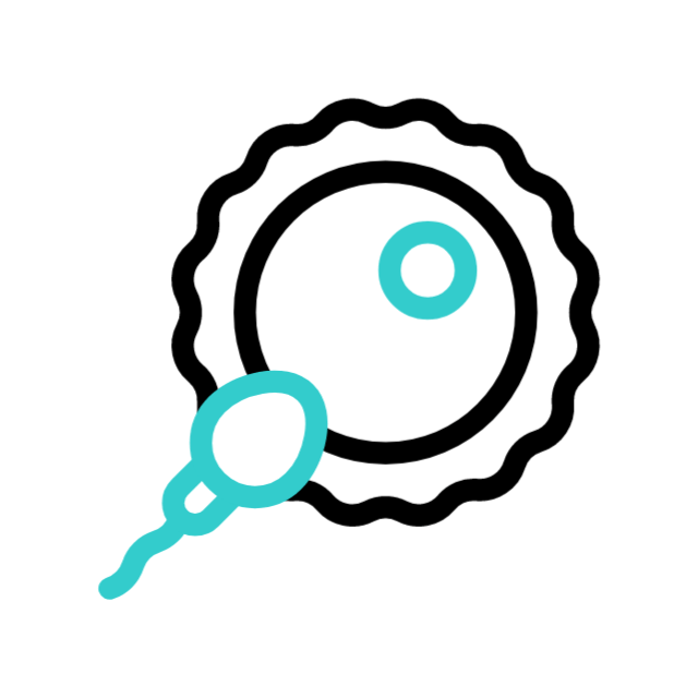 livro médico animated icon livro médico animated icon