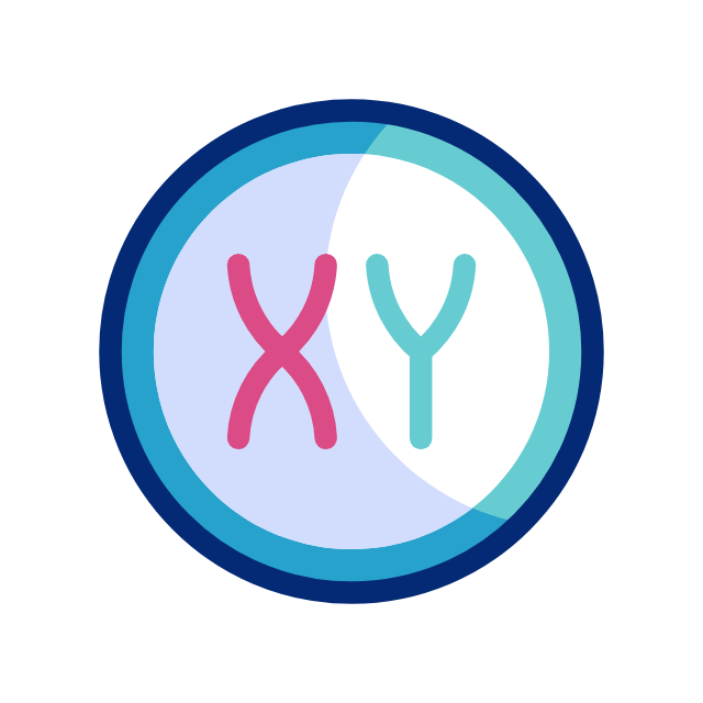 livre animated icon livre animated icon