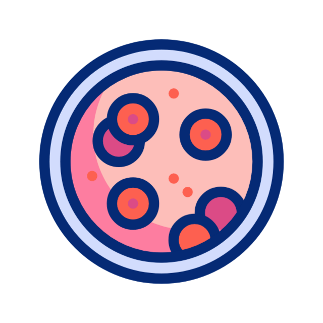 consulta animated icon consulta animated icon