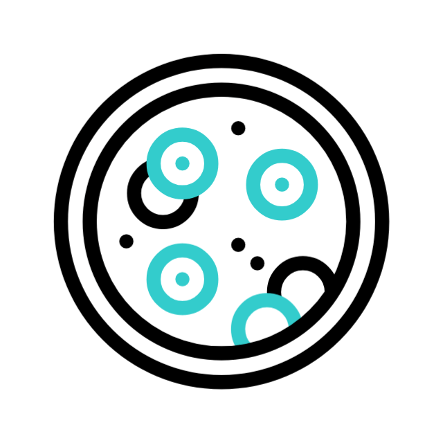 consulta animated icon consulta animated icon