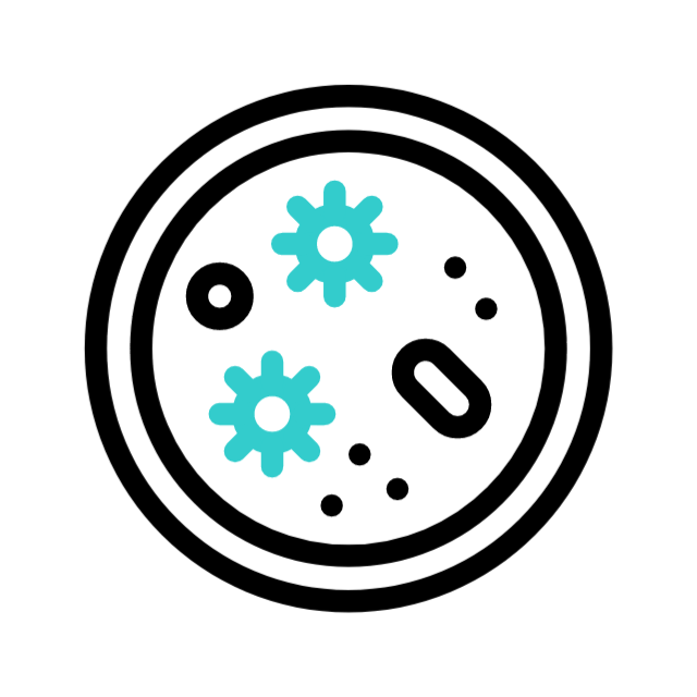 consulta animated icon consulta animated icon
