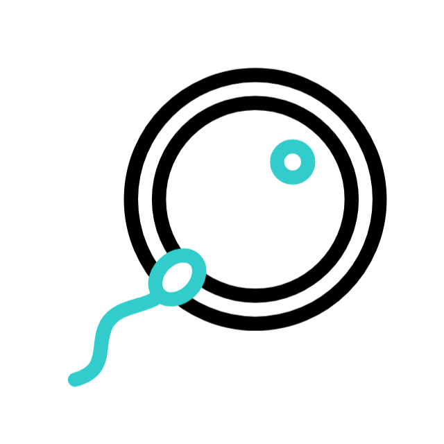 Éponge animated icon Éponge animated icon