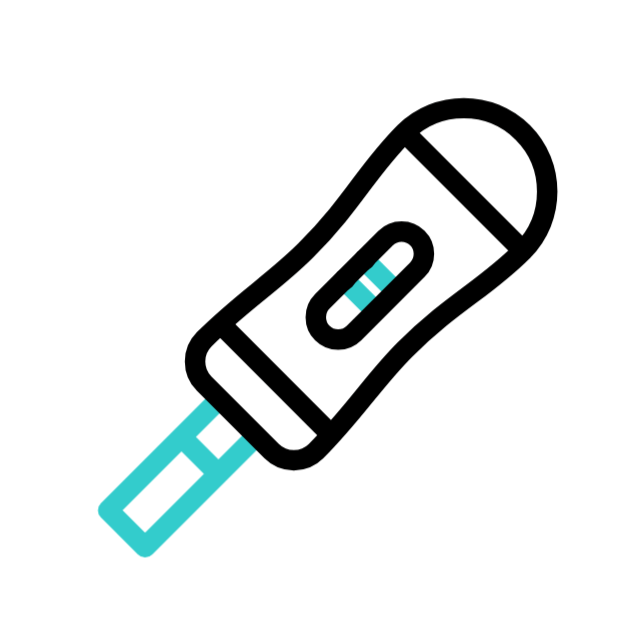 Éponge animated icon Éponge animated icon