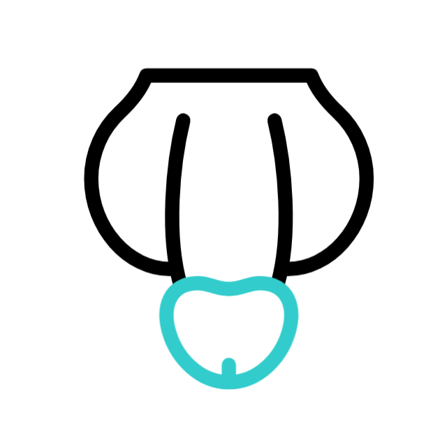 Éponge animated icon Éponge animated icon