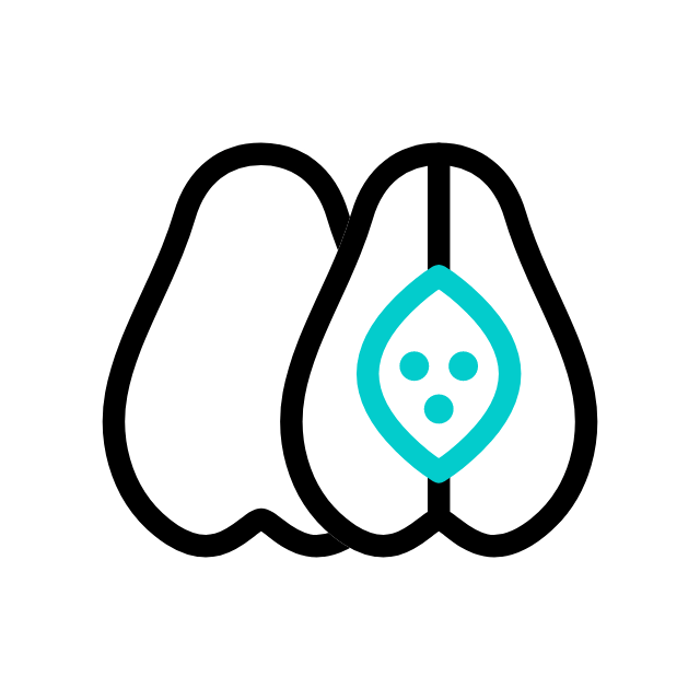 sapodille animated icon sapodille animated icon