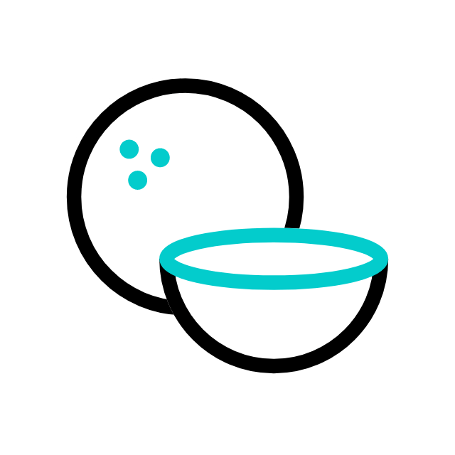 sapodille animated icon sapodille animated icon