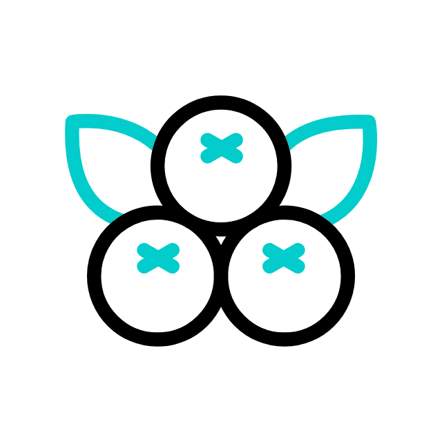 sapodille animated icon sapodille animated icon