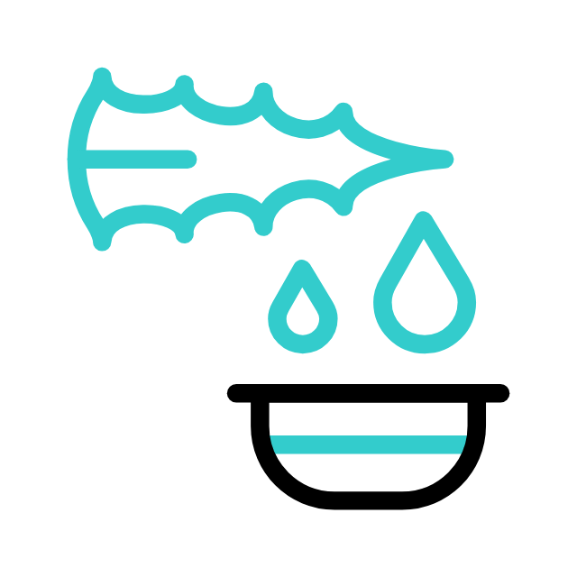 curvador de cílios animated icon curvador de cílios animated icon