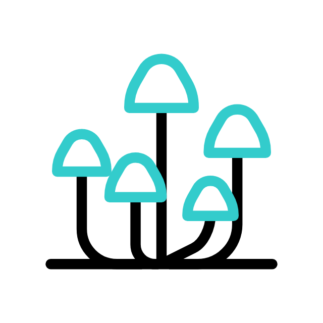 Grapes animated icon Grapes animated icon