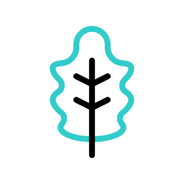 말린 씨앗 animated icon 말린 씨앗 animated icon