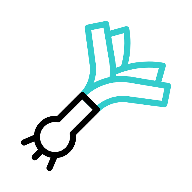 ingwer animated icon ingwer animated icon